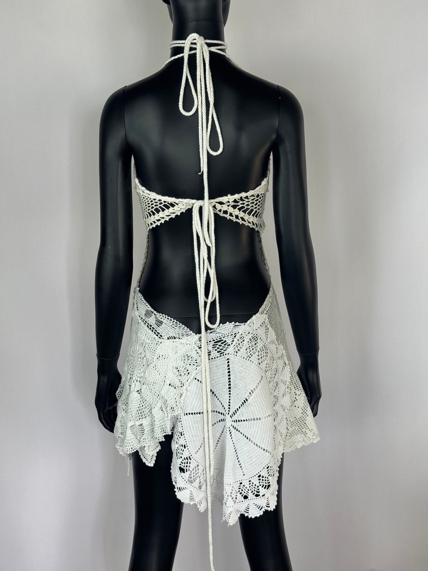 The Zebra Swallowtail Dress
